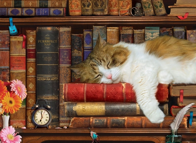Puzzle Sieste de Chat XL 500 pièces Eurographics