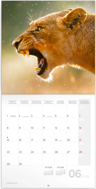 Calendrier de notes Animaux Sauvages 2026
