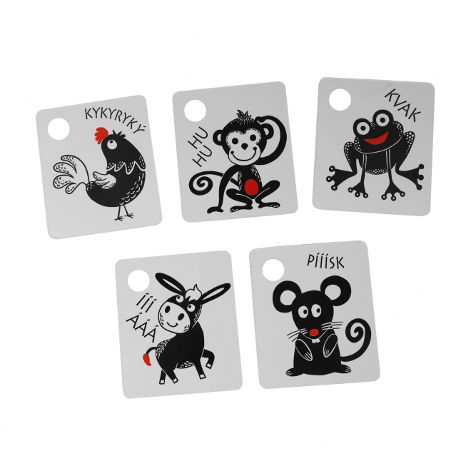 Cartes contrastées pour enfants avec élément coloré