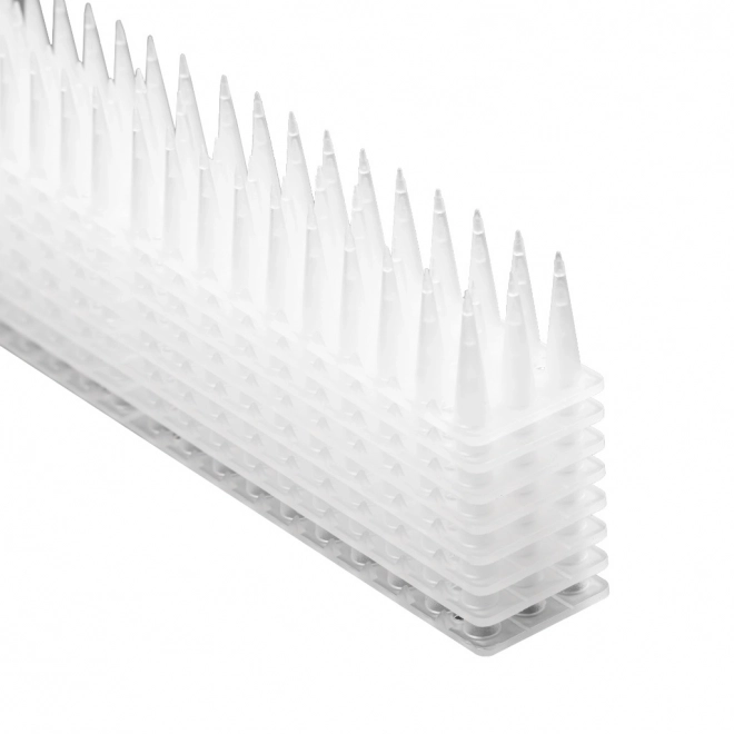 Pointes en plastique contre les pigeons blanches