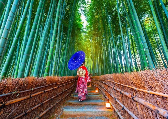 Femme asiatique entre les bambous