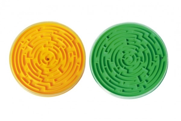 Labyrinthe (jeu d'observation, Direction)