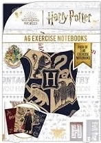Harry Potter ensemble de blocs A6 – Hogwarts Wizard