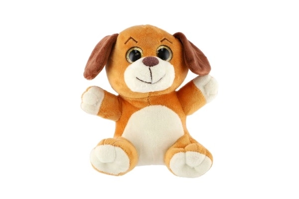 Animal en peluche grandes yeux 18 cm sur carte