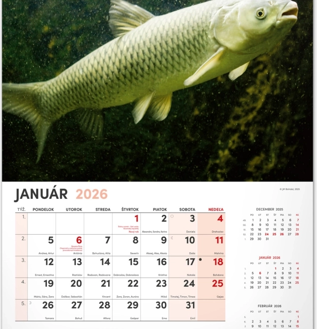 Calendrier mural Pêcheur 2026