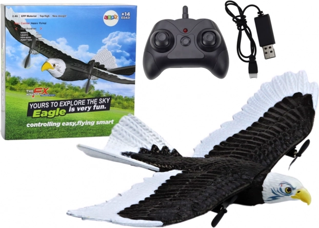 Avion télécommandé Eagle Bird RC 2.4G 41 cm x 28 cm x 5 cm