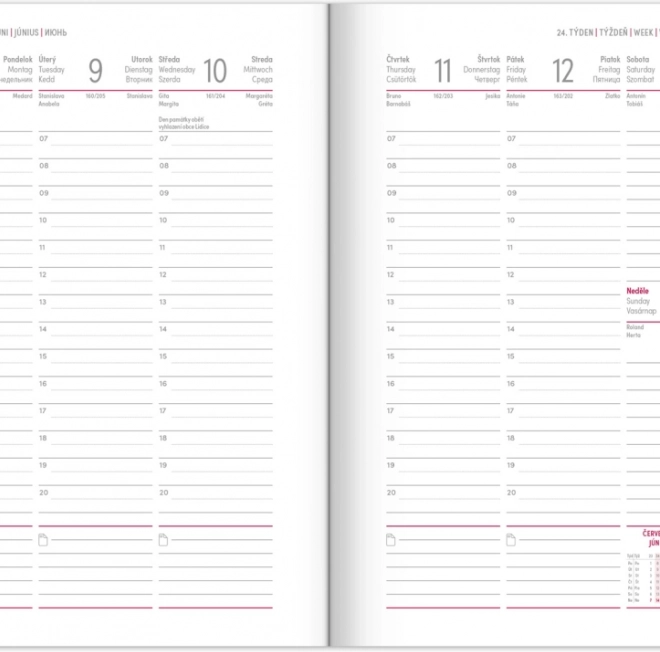 Agenda hebdomadaire bleu 2026