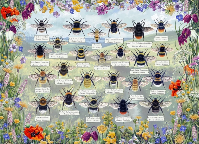 Puzzle Gibsons Abeilles Brillantes 1000 pièces