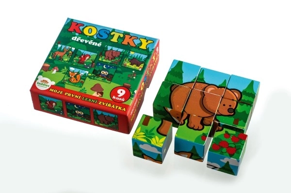 Cubes Kubus Mes Premiers Animaux Bois