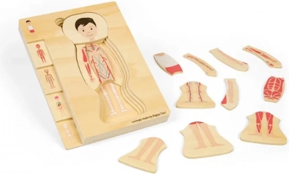 Puzzle anatomique en couches en bois – garçon BIGJIGS TOYS