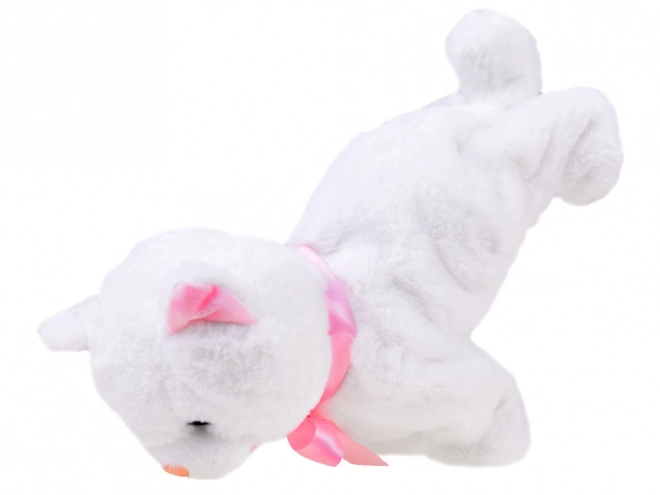 Chaton interactif acrobatique Psotek