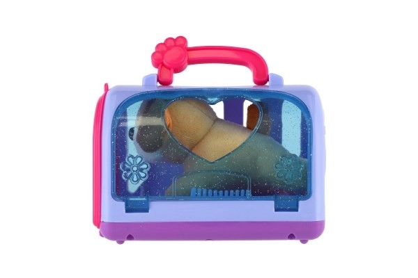 Boîte de transport avec chien en peluche