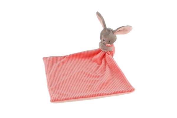 Lapin/Lapinou à câliner en peluche 25x25cm rose sur carte dans un sac 0+