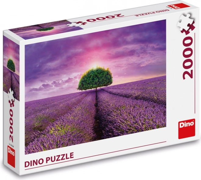 Puzzle Champ de Lavande 2000 pièces
