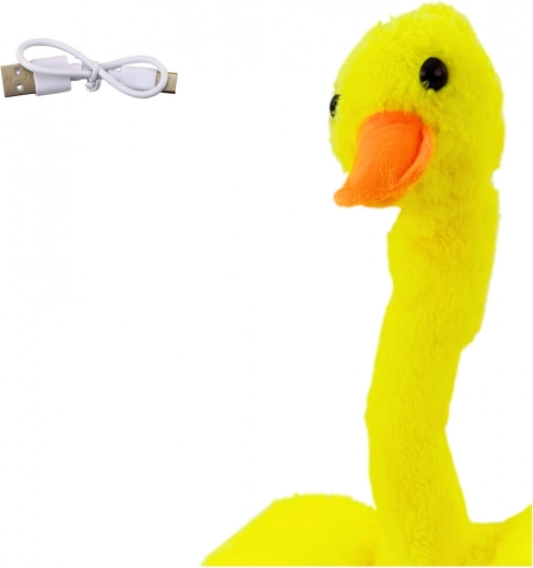 Recharge USB et peluche douce