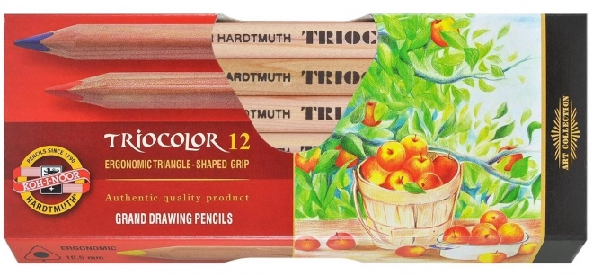 KOH-I-NOOR Crayons triangulaires Triocolor 3152 - 12 pièces