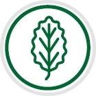 Bois de hêtre naturel et silicone sûr