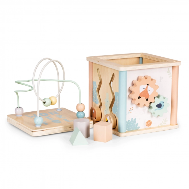 Blocs éducatifs en bois Ecotoys