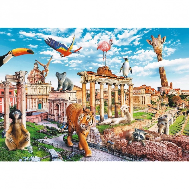 Puzzle Villes Amusantes - Rome Sauvage 1000 pièces