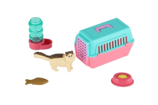 Petit chat avec une boîte de transport et accessoires