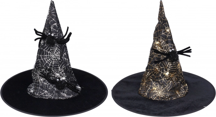 Set de carnaval – chapeau de sorcière
