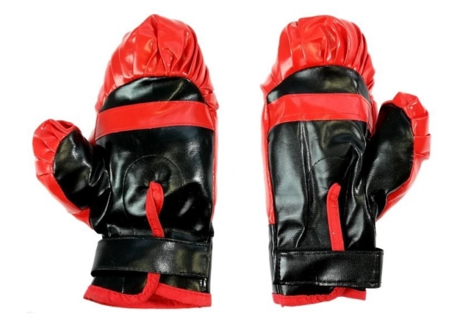 Ensemble de boxe 57 x 18