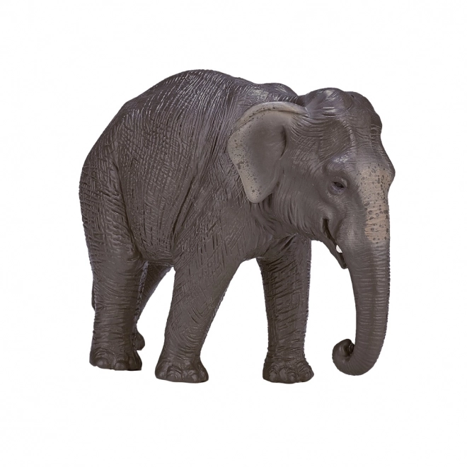 Mojo Éléphant indien