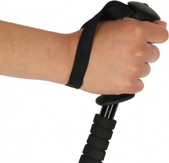 Bâtons de trekking pliants Nordic Walking, noirs, 2 pcs