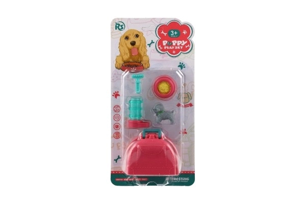 Petit chien avec boîte de transport et accessoires