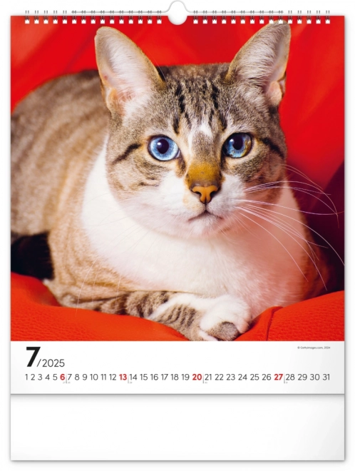 Calendrier mural Chats 2025, 30 × 34 cm