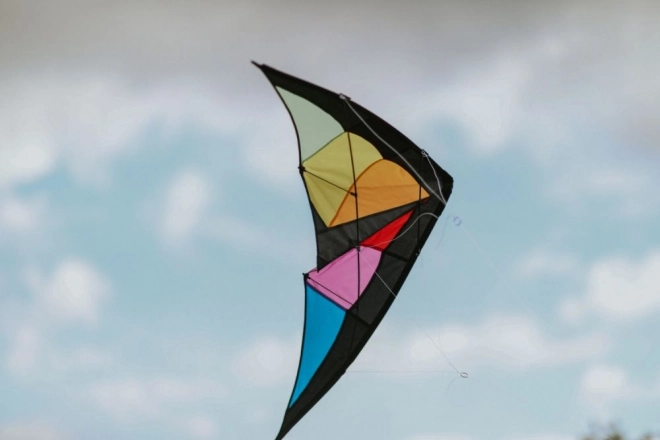 Cerf-volant de sport volant Dragon 120 x 50 cm