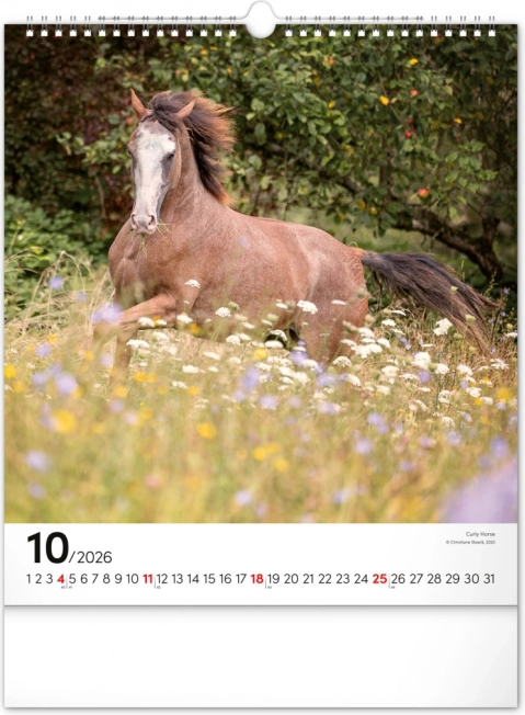 Calendrier mural Chevaux 2026