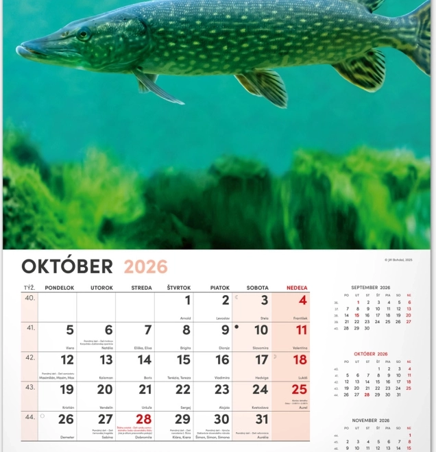 Calendrier mural Pêcheur 2026