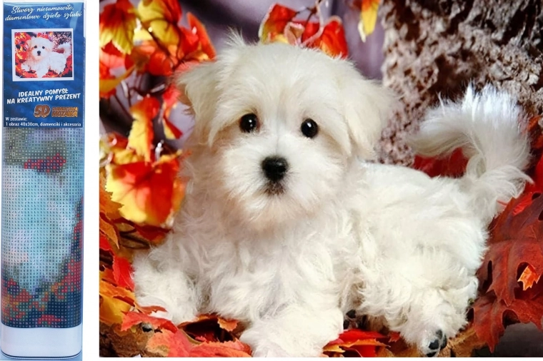 Peinture diamant – chiot blanc 30 × 40 cm