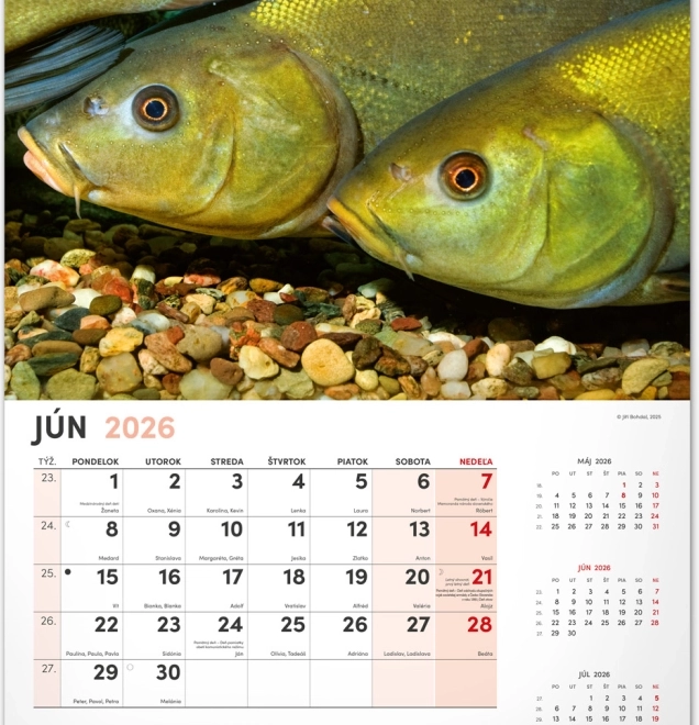 Calendrier mural Pêcheur 2026