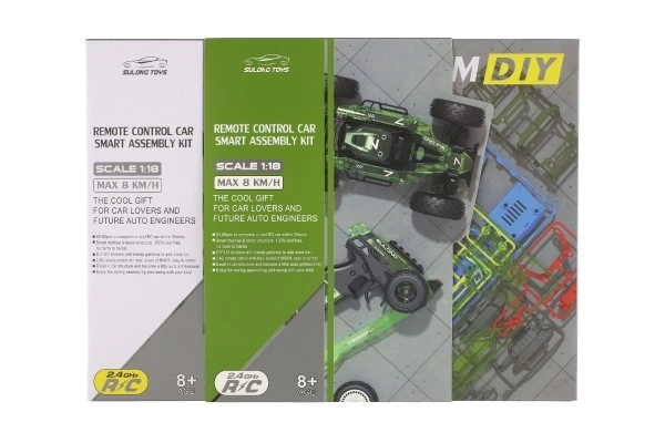 Buggy RC en plastique 22cm kit 24MHz à piles vert dans une boîte 34x25x7cm