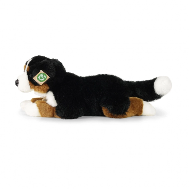 Chien de montagne bernois en peluche allongé 44 cm ÉCOLOGIQUE