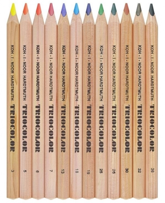 KOH-I-NOOR Crayons triangulaires Triocolor 3152 - 12 pièces