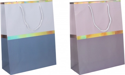 Sac cadeau 18 × 24 × 8,5 cm – universel