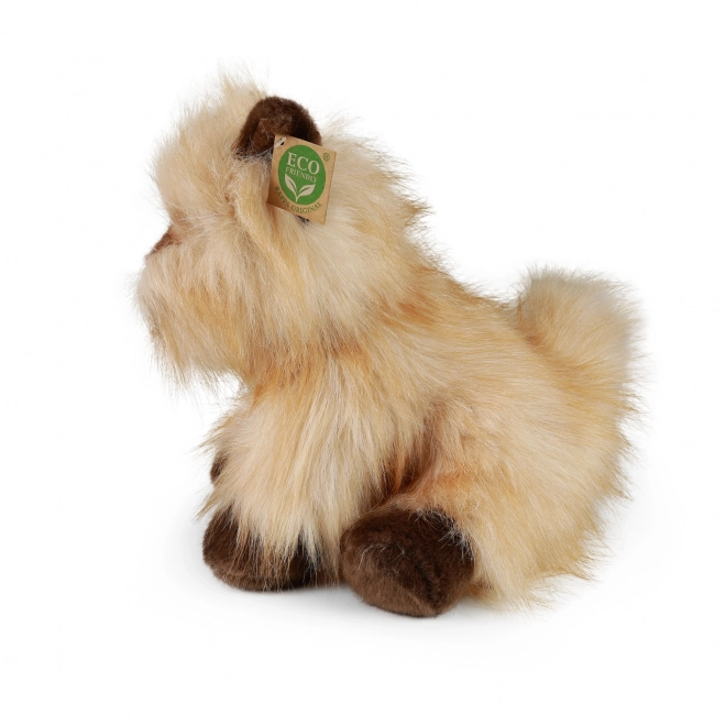 Cairn Terrier en peluche 30 cm ÉCORESPONSABLE