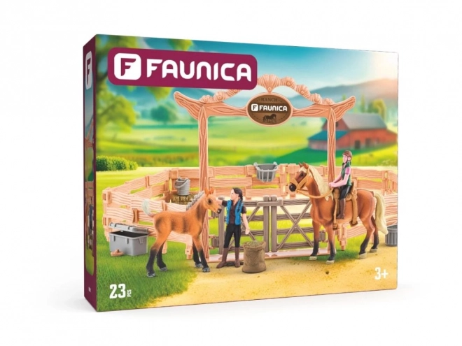 École d'équitation avec cheval et cavalier