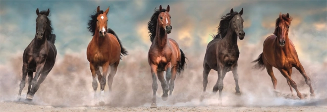Puzzle 1000 Pièces Compact Panorama Chevaux