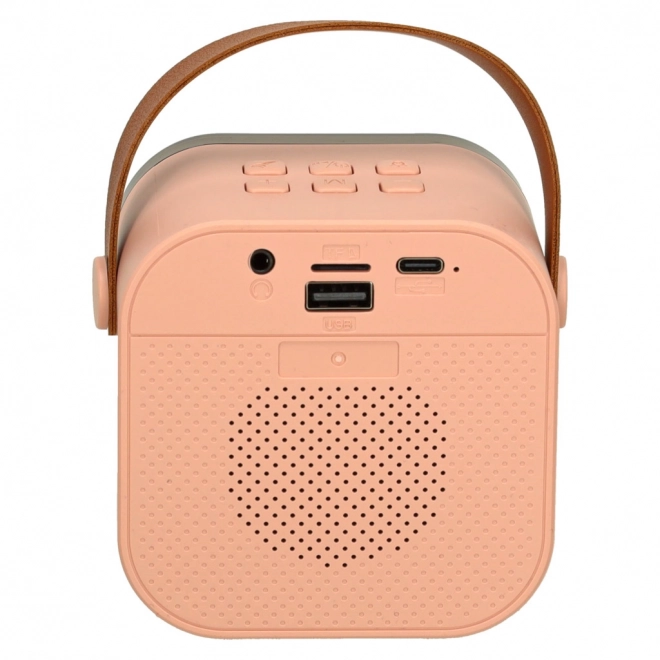 Ensemble karaoké 2 microphones + haut-parleur portable BLUETOOTH USB LED rose