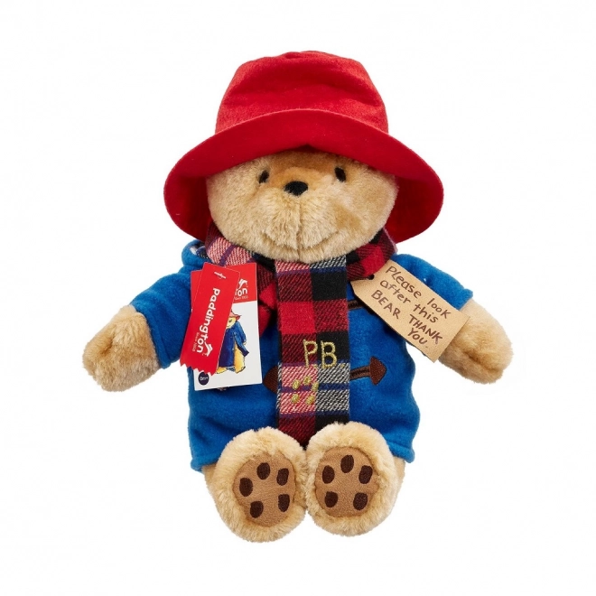 Rainbow Peluche Paddington avec une écharpe grande