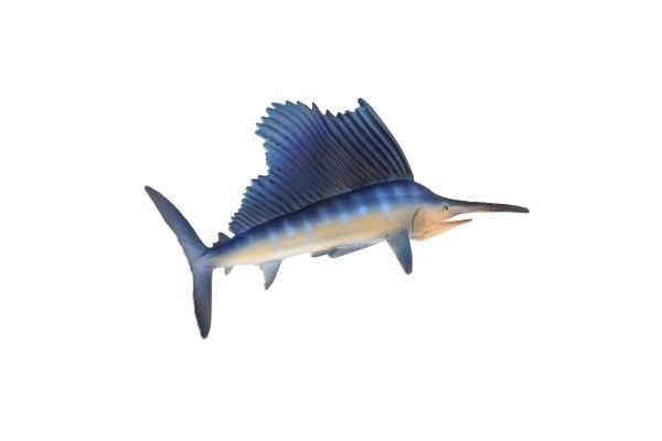 Poisson-épée commun en plastique 16 cm dans un sac