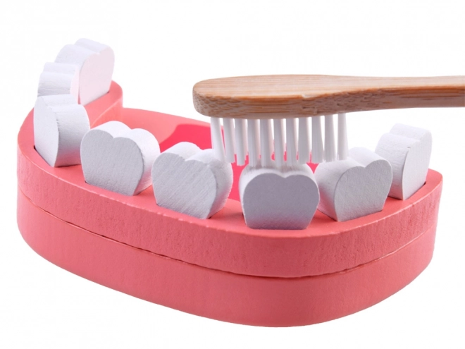 Ensemble en bois d'accessoires PETIT DENTISTE ZA4718