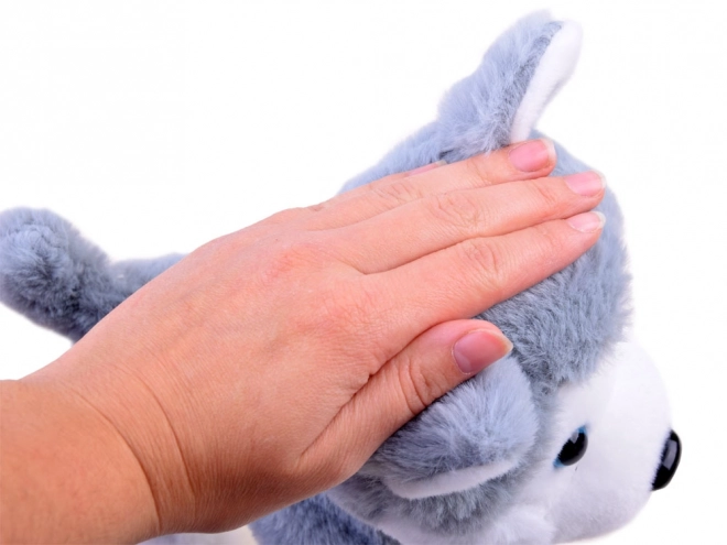 Chien Husky interactif en laisse