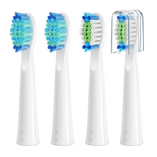 Têtes de brosse à dents Bitvae D2 (blanche)