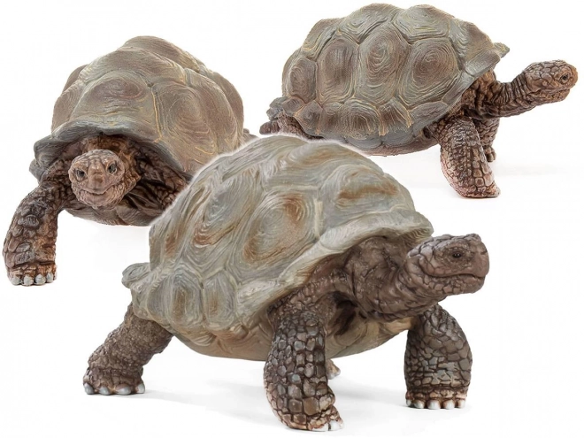 SCHLEICH Wild Life® 14824 Tortue géante