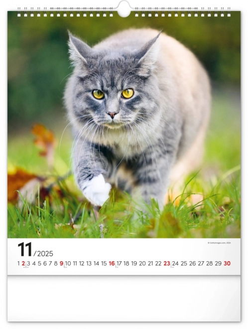 Calendrier mural Chats 2025, 30 × 34 cm